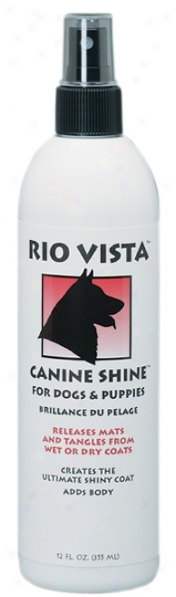 Rio Vista Dog Canine-shine Spray