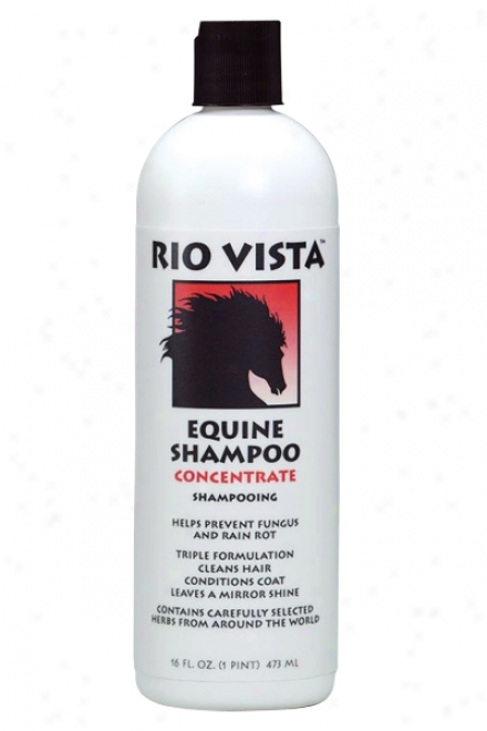 Rio Vista Equine Shampoo