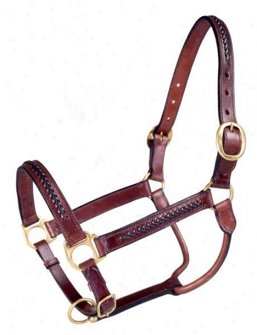 Royal King Braided Leather Halter - Brown - Horse