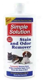 Simple Solution Stain And Odor Remover - 16oz