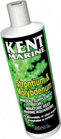 Strontium & Molybdenum Supplement - 8 Ounces