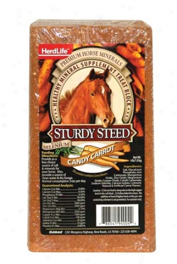 Sturdu Steed Horse Block - Carrot - 4 Pound