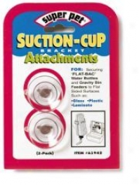 Suction Cups For Hanging Water Bottles - Clear