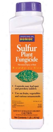 Sulfur Plant Fungicide Dust/sp - 1 Pound