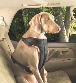 Vehicle Safety Tackle For Dogs - Extra Large