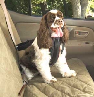Vehicle Safeyt Harness For Dogs - Medium