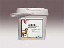 Vita Flex Accl - Horse Supplement