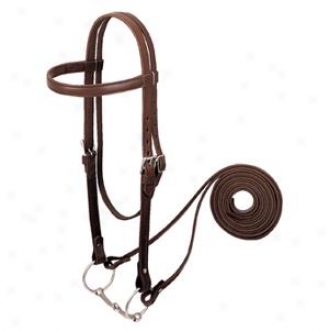 Weaver Leather Draft Horse Riding rBidle - Wicked Chocolate - Regular Draft