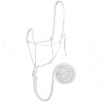 Weaver Rope Halter And Lead - White