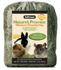 Westerly Timothy Hay - 40 Ounces