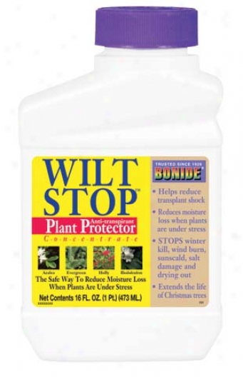 Wilt Stop Plant Protection Formula - Pint