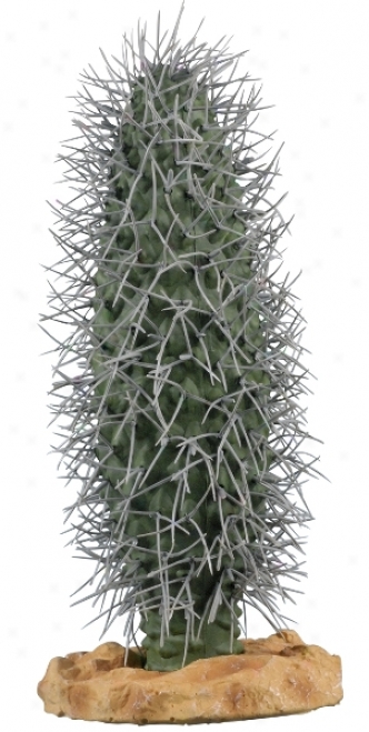 Zilla Desert Series Terrarium Plant - Madagascar Palm Cactus - 10