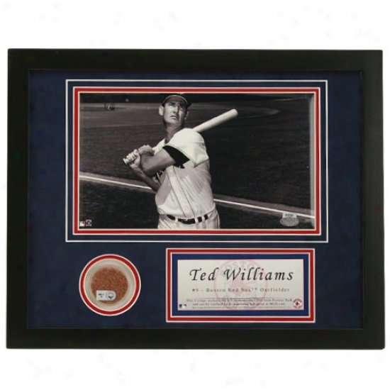 Bodton Red Sox Ted Williams Framed Mini Dirt Collage